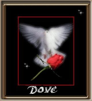dove.........jpg