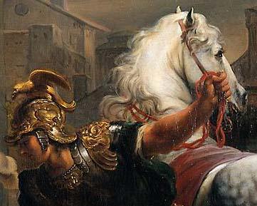 horse.jpg